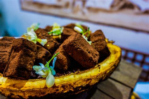 chocolate sambad|The Chocolate Chamber .